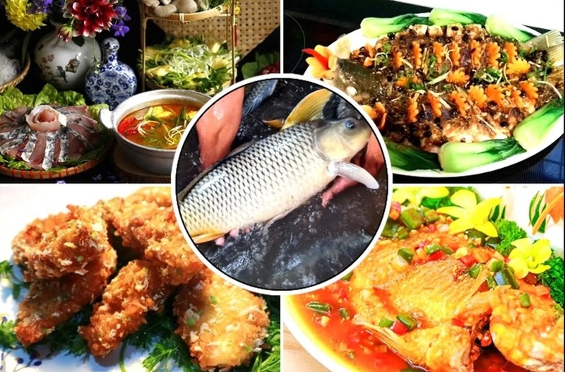 Cá chép làm món gì ngon? Gợi ý hấp dẫn cho bữa cơm nhà