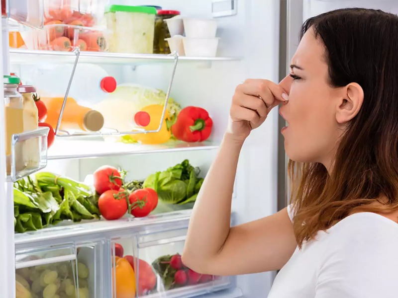 Nguyên nhân tủ lạnh có mùi: thực phẩm hỏng, đồ sống, đồ ăn để lâu, hoặc vệ sinh chưa đúng cách.