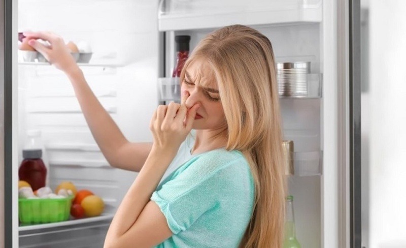 Tủ lạnh có mùi chua, tanh hoặc đồ ăn mới cho vào bị ám mùi là dấu hiệu cần khử mùi.