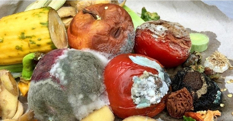 Khi mùi hôi nặng, cần loại bỏ thực phẩm hỏng, vệ sinh sâu và đặt nguyên liệu hút mùi.